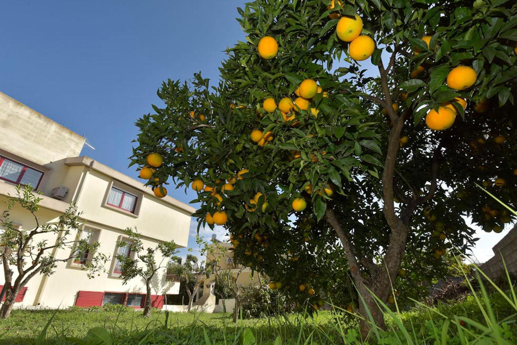 Villa Isola Bella - Costa Verde Mogoro Exterior foto